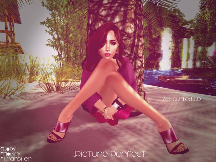 .:Picture Perfect:. Single Pose - All Curled Up! (boxed)