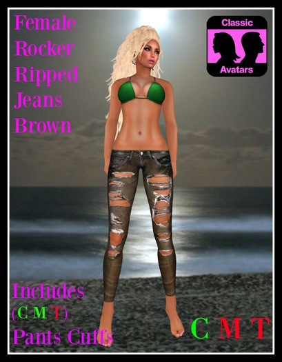 (LL) Female Rocker Ripped Jeans Brown (Classic) Boxed