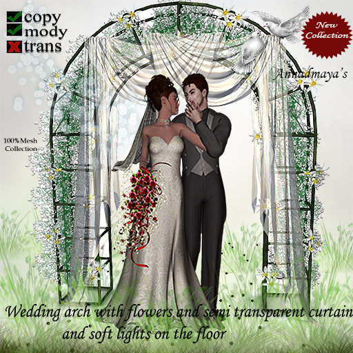 wedding arc v21