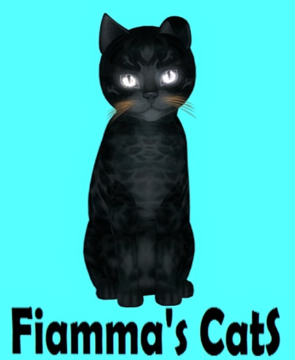 KittyCatS Box - Bengal - Black