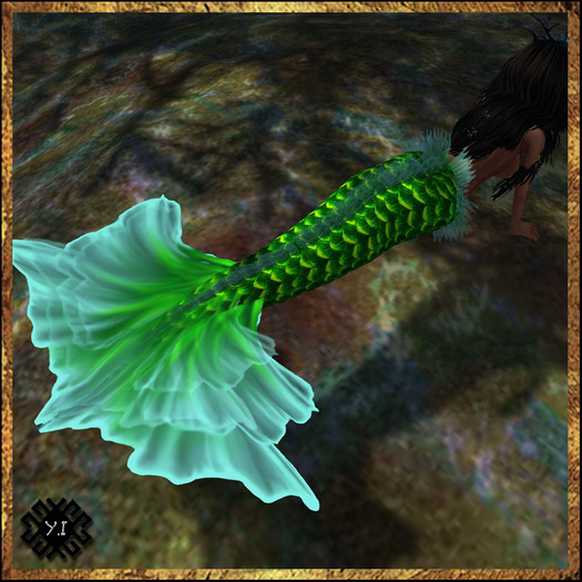 -GREEN- (Y.I)