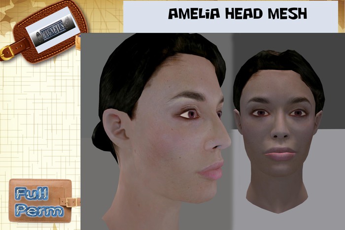 Amelia Head mesh