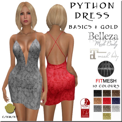 BM Python Dress Basics