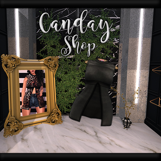 [CS] Kimora Top - Leather