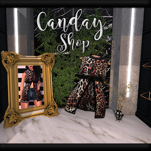 [CS] Kimora Top - Wild