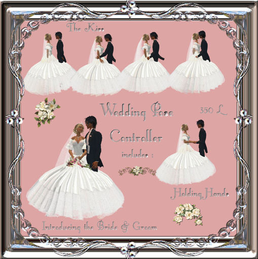 Wedding Pose+Propose Controler Boxed