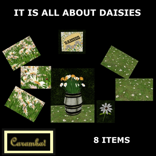 GP 1 - it is all about daisies