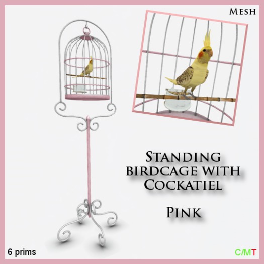 Standing birdcage with Cockatiel - Pink Boxed
