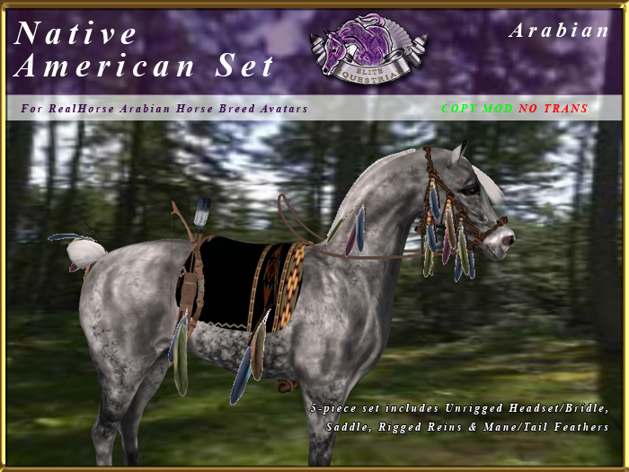 *E* Native American Set [BOXED] RHAB