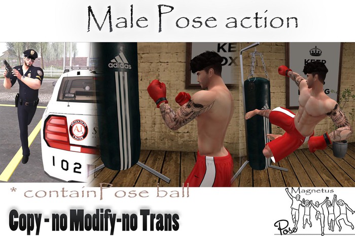 Male Pose action