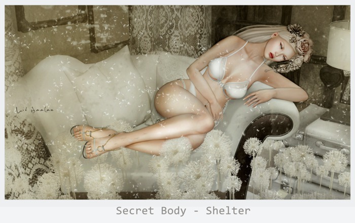 Secret Body - Shelter Pose