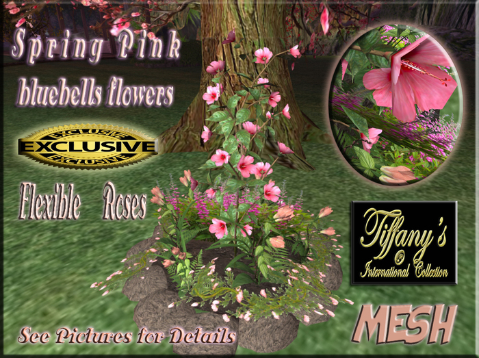 Spring pink bluebells flowers-boxed