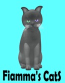 KittyCatS Box - Russian - Blue