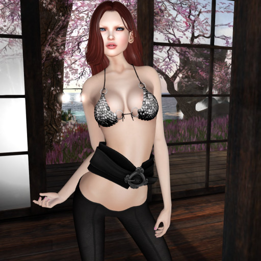Waist Belt *Bag*