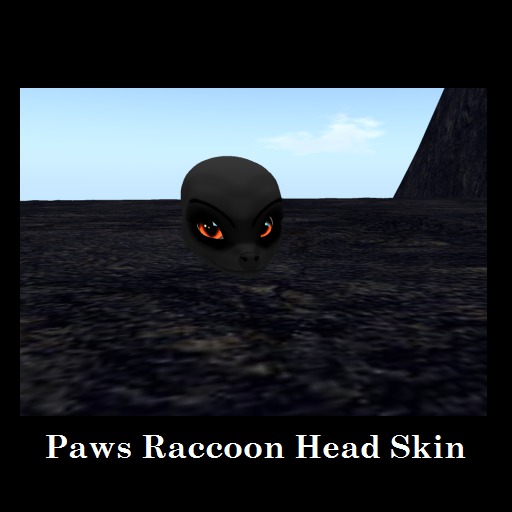 Broghan's Paws Raccoon Head Skin