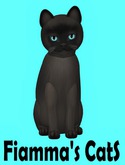 KittyCatS Box - Burmese - Sable