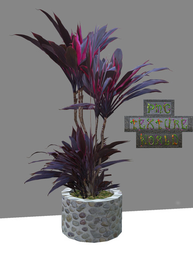Potted Foliage Plant 03