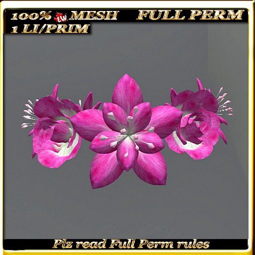 LW_ Lily and Roses - 4