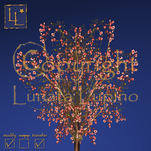 trees - Magnolienbaum - gelb (Magnolia tree - red)