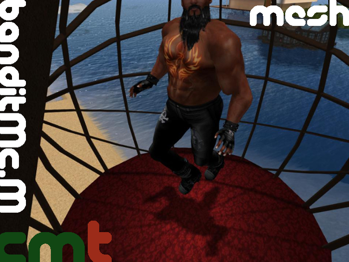 Dance cage - mesh - 8 single dances