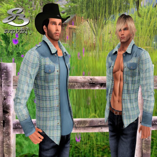 Sky Blue Western Spring Outfit