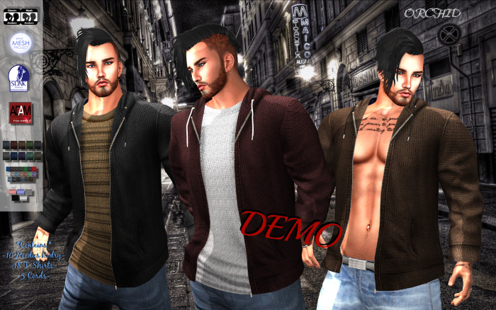 DEMO_Hoodie Rodry HUD