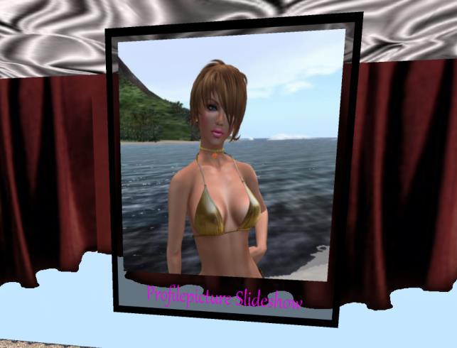 Profilpicture-Slideshow 2.0 D/E