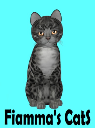 KittyCatS Box - Bengal - Charcoal