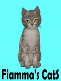 KittyCatS Box - Bengal - Snow