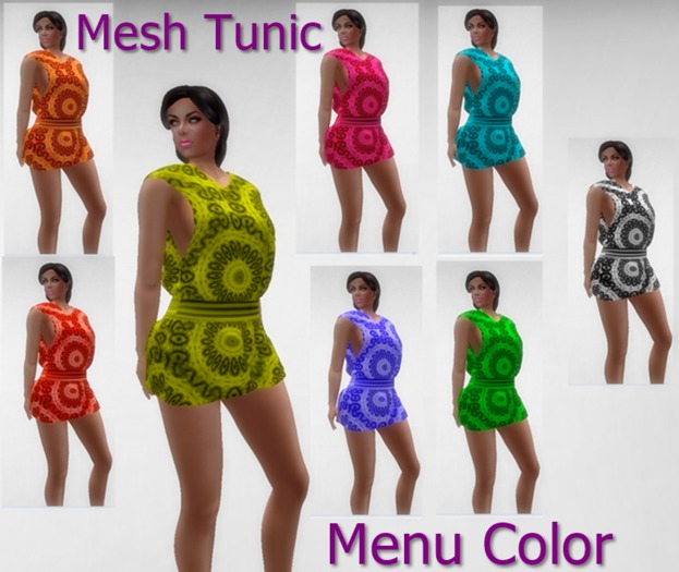 0004819 Tunic (Menu Texture)