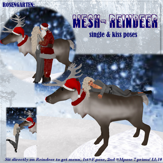 Xmas  Rudolphe Reindeer , single & couple poses