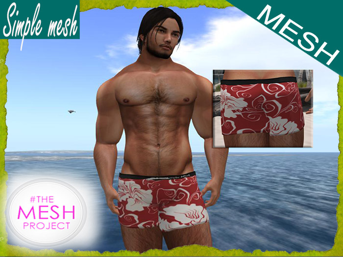 SM Red Surfer shorts