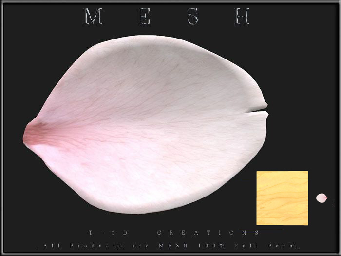 T-3D Creation [TRAY  No.13] MESH - Full Perm