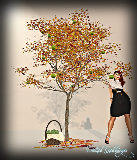 Autumn Apple Tree ~Granny Smith 14LI w/Basket PACKAGE