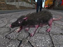 {PpP} Zombie Apocalypse Black Rat TIpjar
