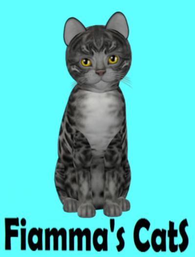 KittyCatS Box - Bengal - Charcoal