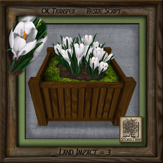 Crocus Wood Planter Ae