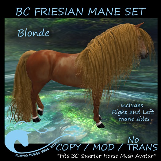 BC QH Friesian Mane- Blonde