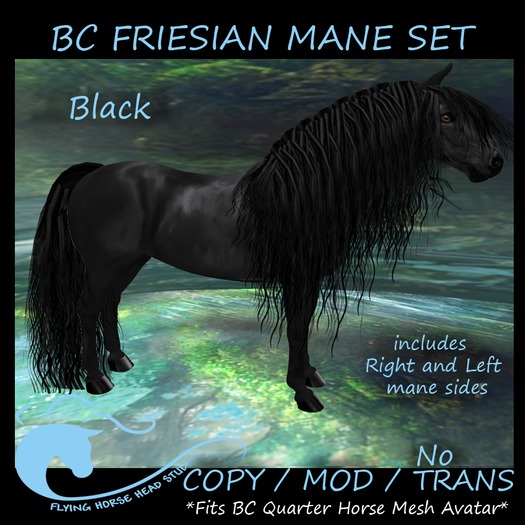 BC QH Friesian Mane- Black