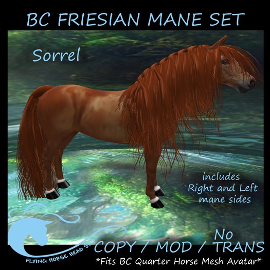 BC QH Friesian Mane- Sorrel