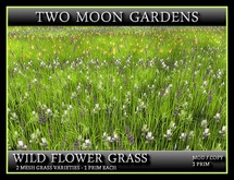 WILD FLOWER GRASS - TWIN PACK* 1 PRIM for Landscaping