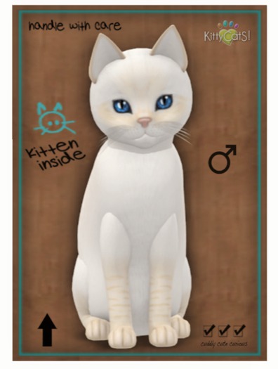 KittyCatS Box - Balinese - Cream Lynx