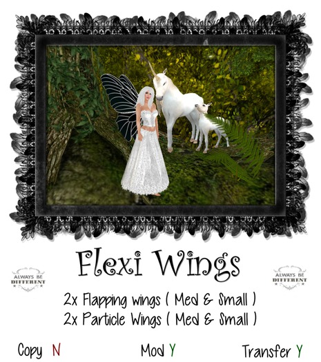 WNT  Black Butterfly