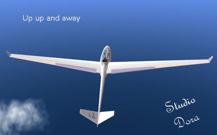 SD Glider airplane