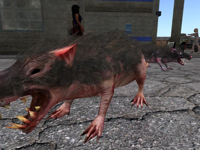 {PpP}Zombie Rabid Rat Tipjar (WEAR or REZ)