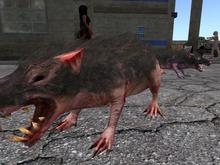 {PpP}Zombie Rabid Rat Tipjar (WEAR or REZ)