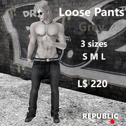 ~REPUBLIC~ LOOSE PANTS GREY DEMO