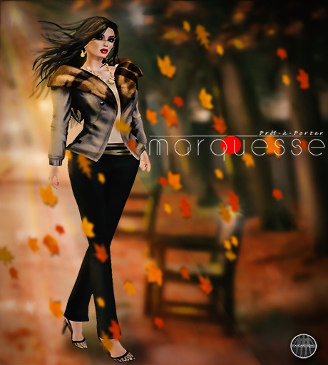 [Marquesse] Autumn Outfit Boxed