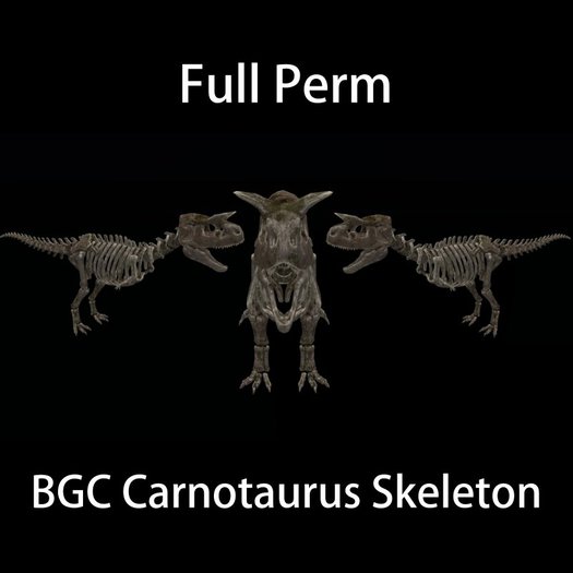 BGC Carnotaurus Skeleton