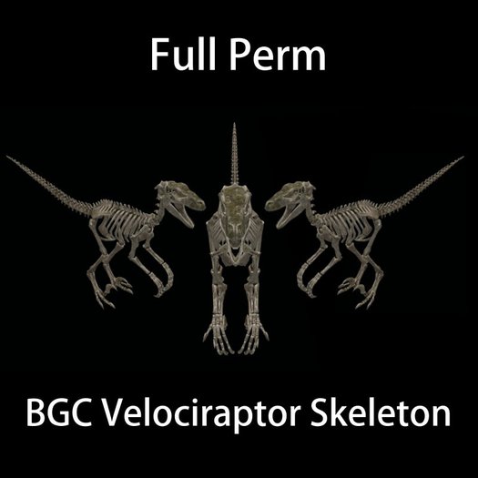 BGC Velociraptor Skeleton